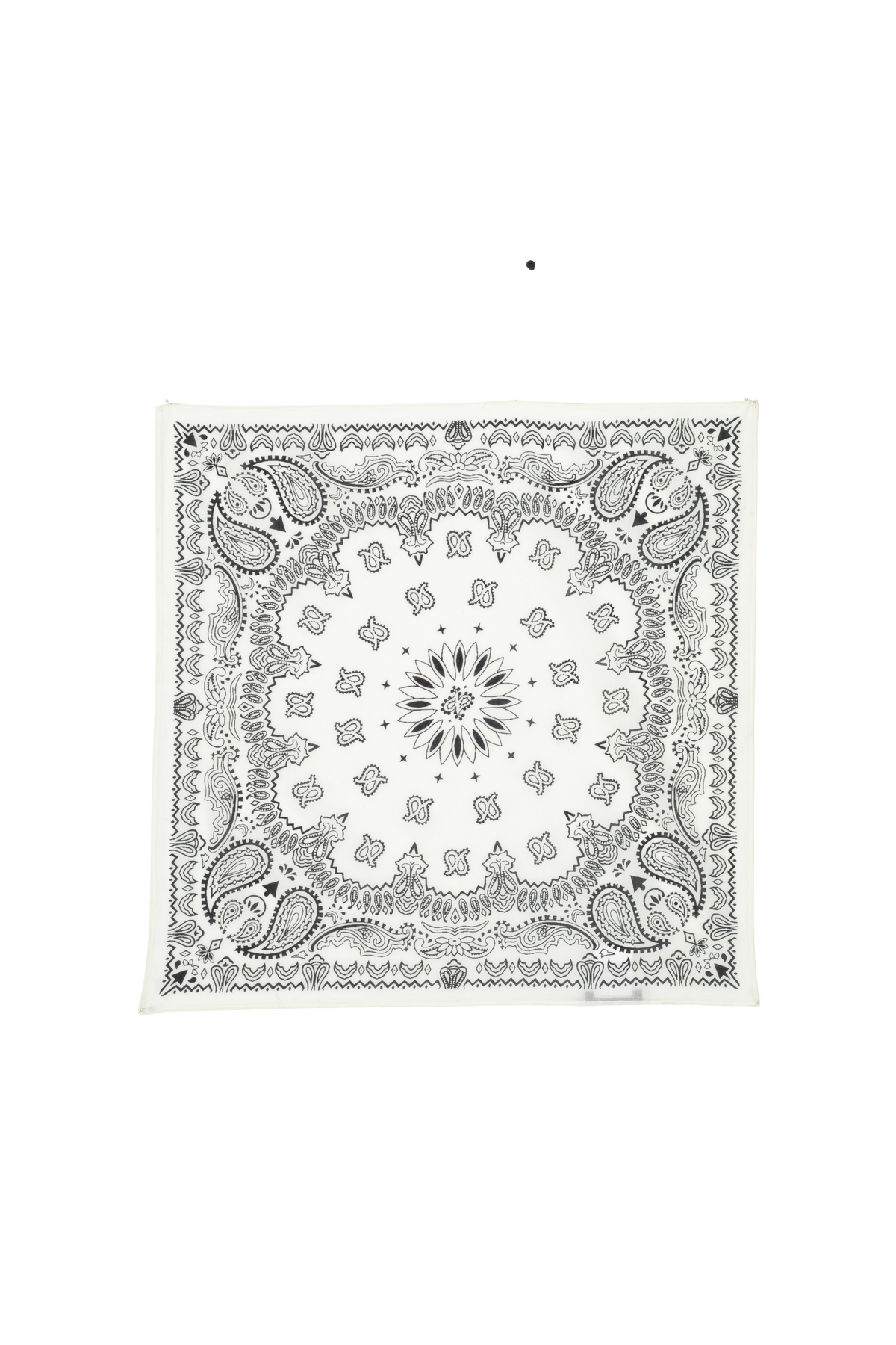 Classic Paisley Cotton scarf