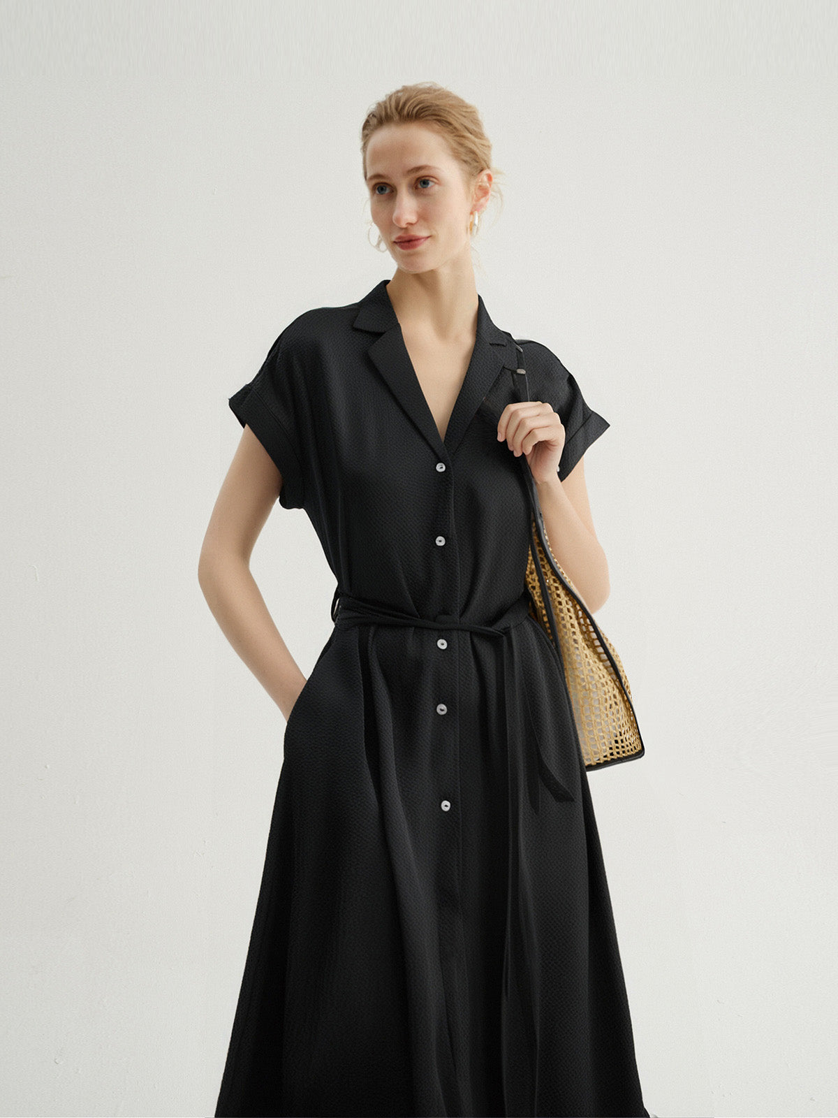 Collared V Neck Pure Silk Dress