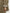Cotton Stand-Collar Buttoned Raglan-Sleeve Trench Coat