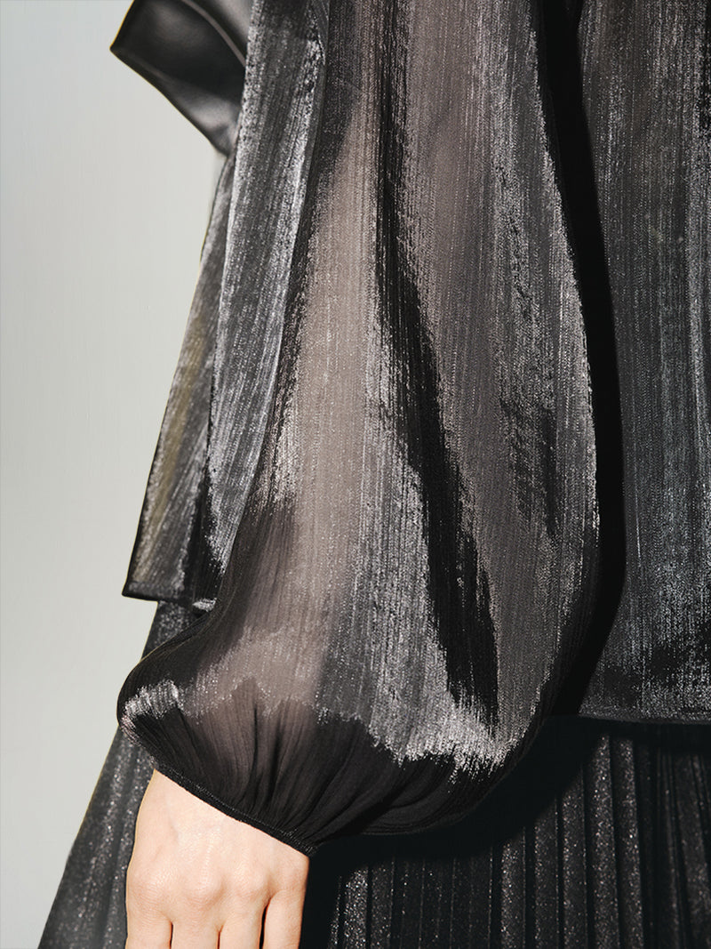 Gathered Neckline Sheer Blouse