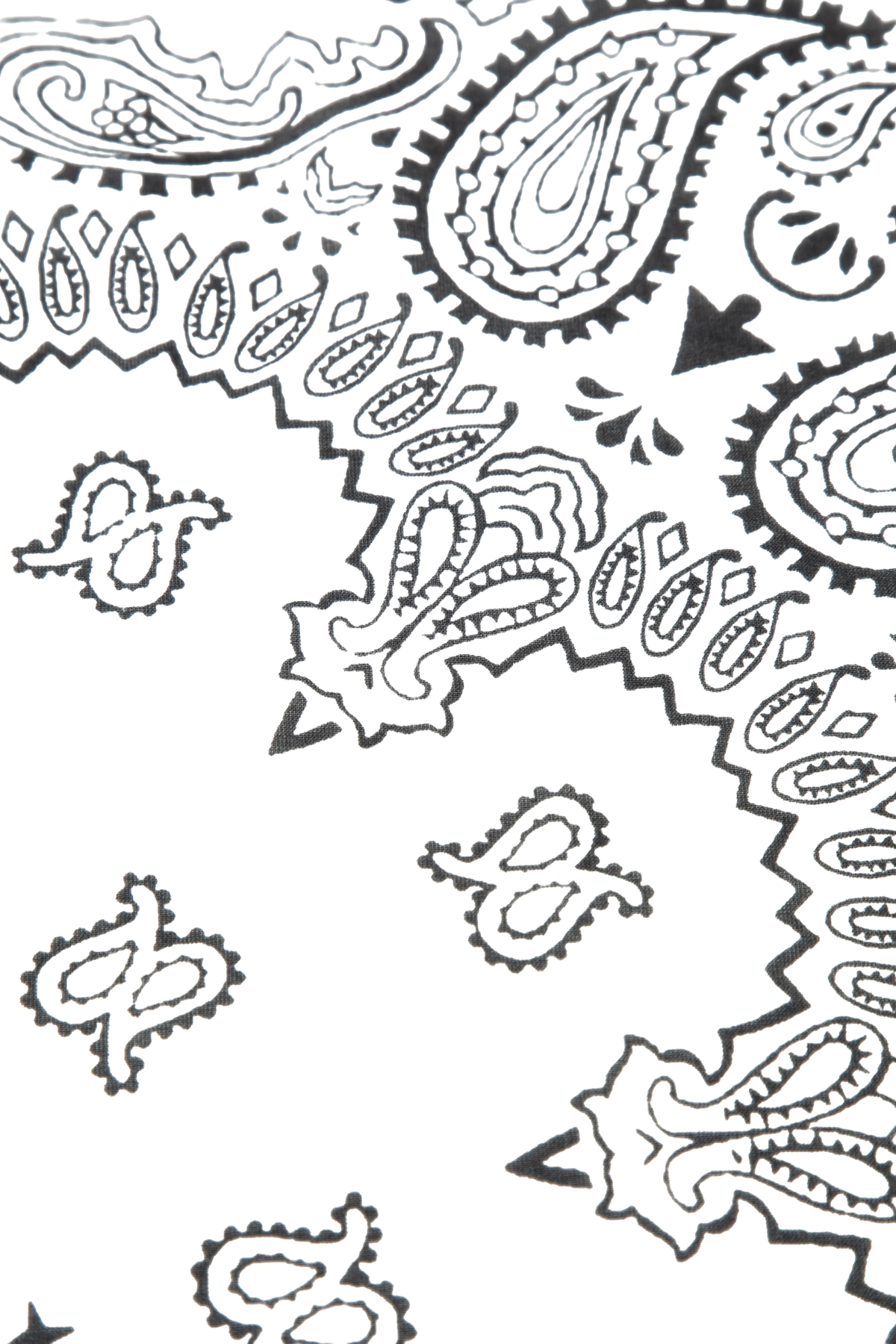 Classic Paisley Cotton scarf