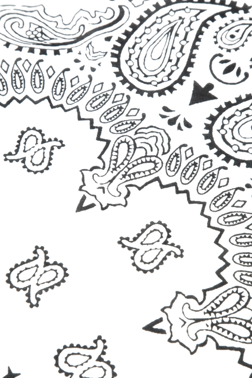 Load image 1 in gallery view. Classic Paisley Cotton scarf