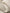 Close-up of beige knitted fabric